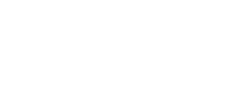 Distinctivs Party