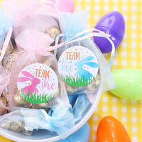 Little Bunny Gender Reveal Party -Team He or Team She Stickers - 40 Pack