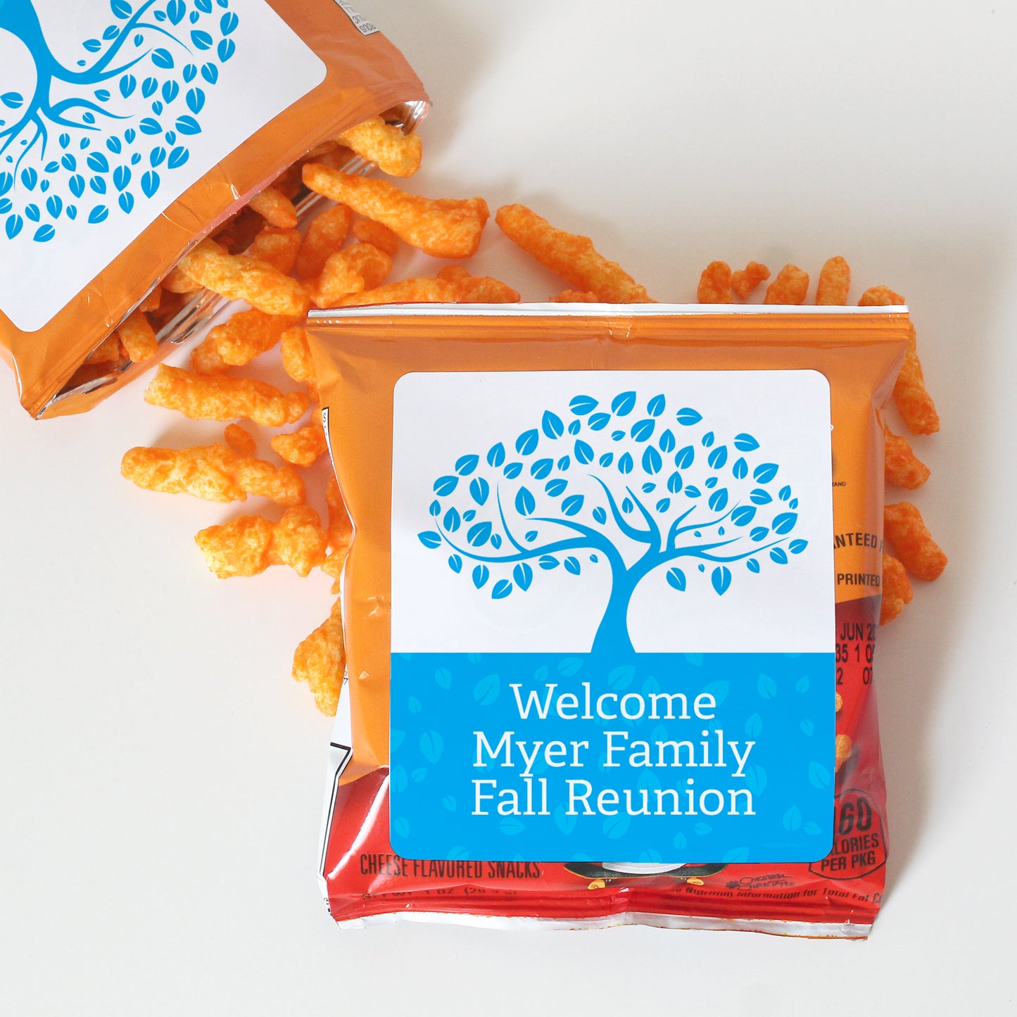 Personalized Family Reunion Chip Bag and Snack Bag Stickers - (9 Colors)