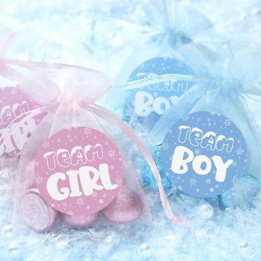 Snowflake Gender Reveal Party - Team Boy or Girl - 40 Stickers