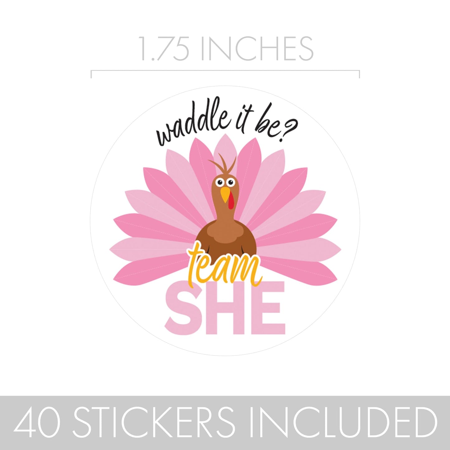 Thanksgiving Turkey Gender Reveal Stickers  - Team He or She - 40 Count